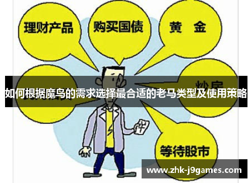 如何根据魔鸟的需求选择最合适的老马类型及使用策略