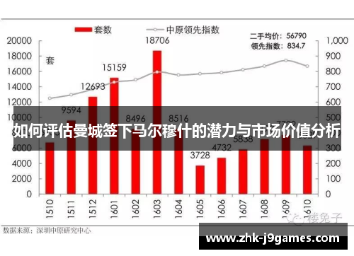 如何评估曼城签下马尔穆什的潜力与市场价值分析