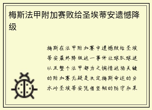 梅斯法甲附加赛败给圣埃蒂安遗憾降级